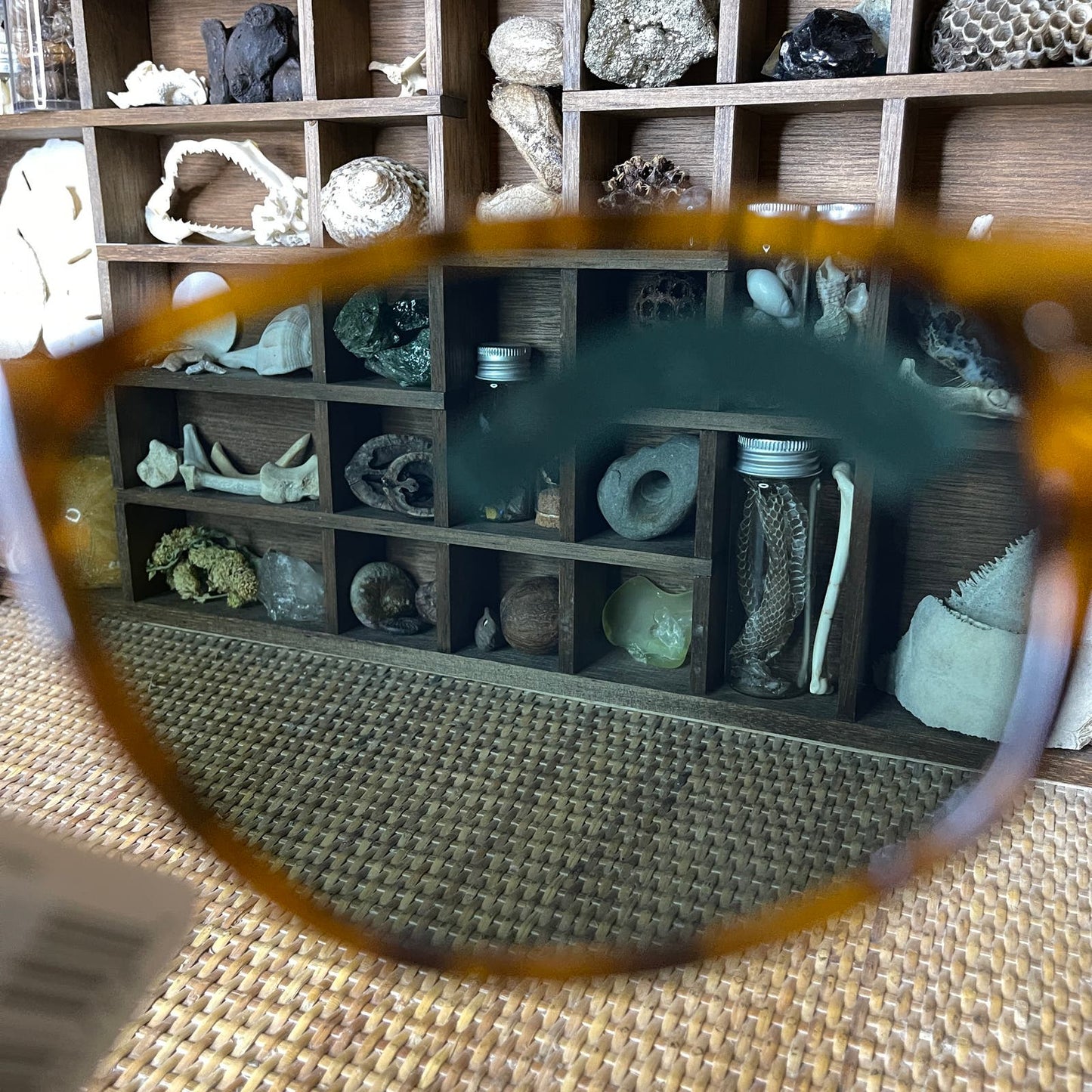 Vintage 90s Sunglasses Tortoise Shell Frame Black Lenses Deadstock FosterGrant